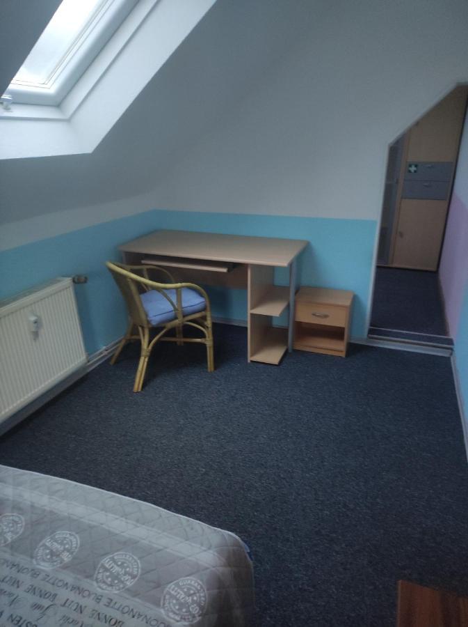 Kleine Gemuetliche Wohnung Zwickau Luaran gambar
