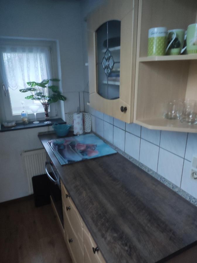 Kleine Gemuetliche Wohnung Zwickau Luaran gambar