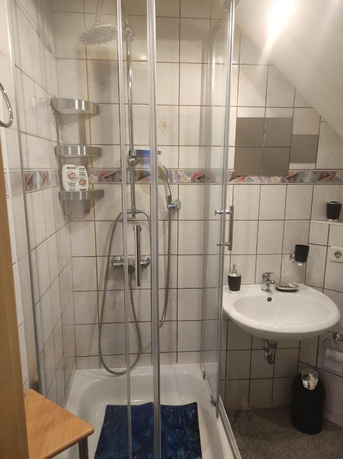 Kleine Gemuetliche Wohnung Zwickau Luaran gambar
